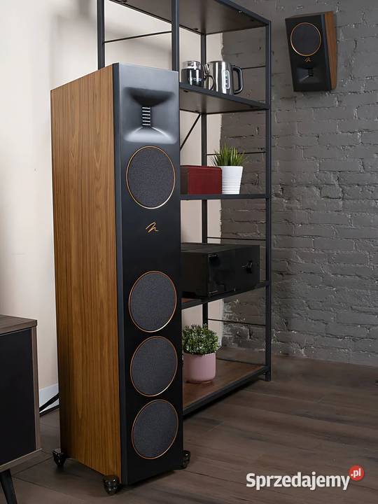 Głośnik podłogowy MartinLogan Motion XT F200 Warszawa