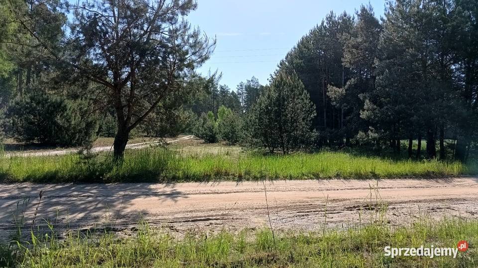 Działka rekreacyjna z warunkami zabudowy utwardzona Dobrzanów