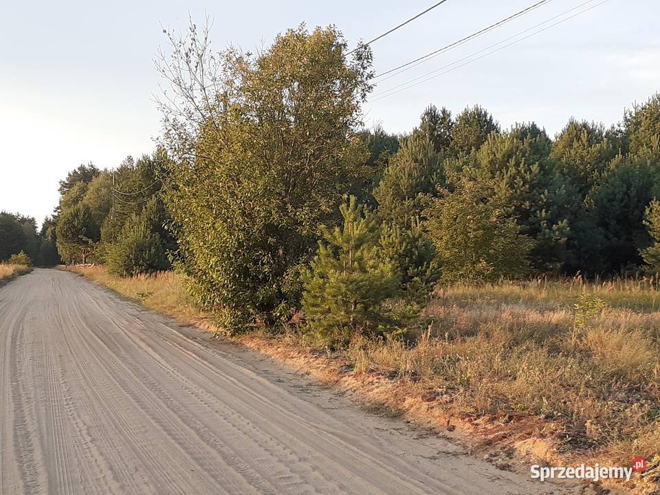 Działka rolna 8300m2 Ploski 8300m2