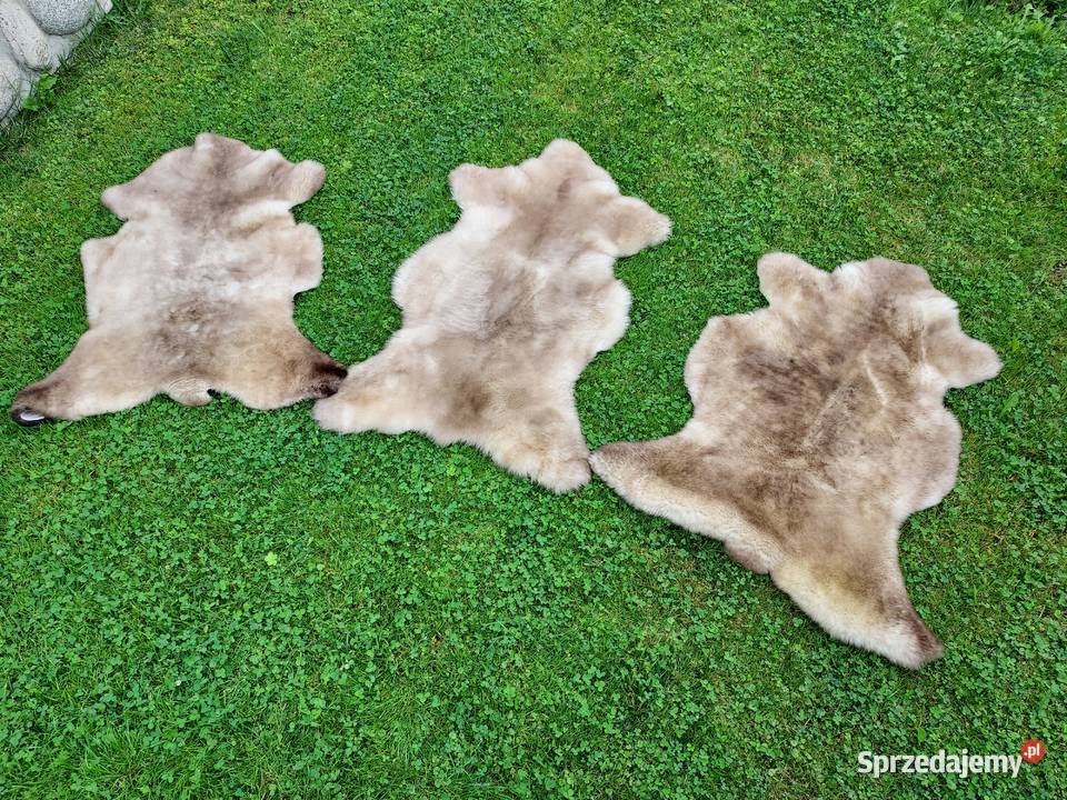 Skóra Owcza Naturalna MURDZIATA Czarnogłówka Szaflary