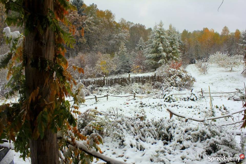Posiadłość Dom w Beskidach Żywiec SPRZEDAM internet Żywiec