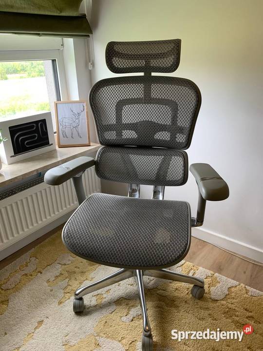 Fotel Ergohuman 2 Elite Pro GS Grey Warszawa sprzedam