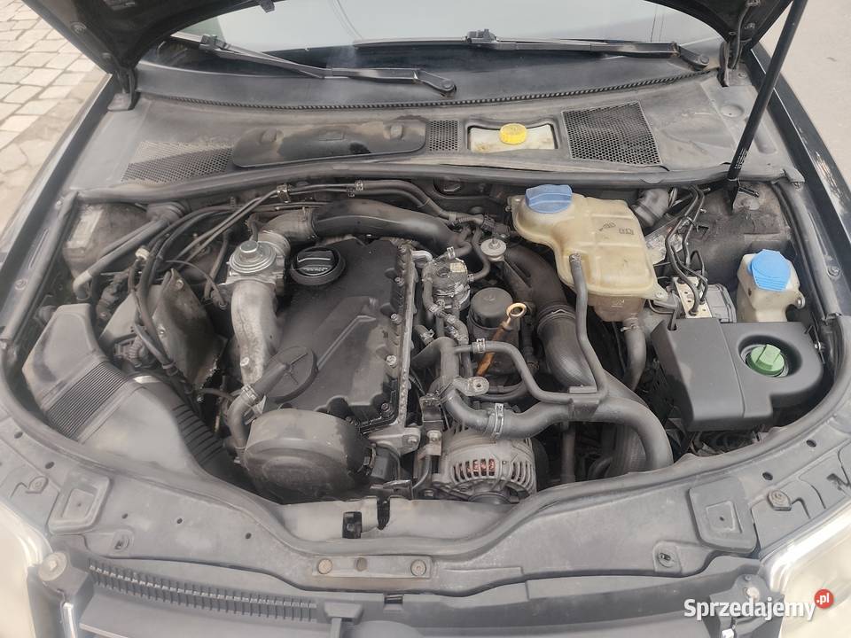 Volkswagen Passat Grobniki