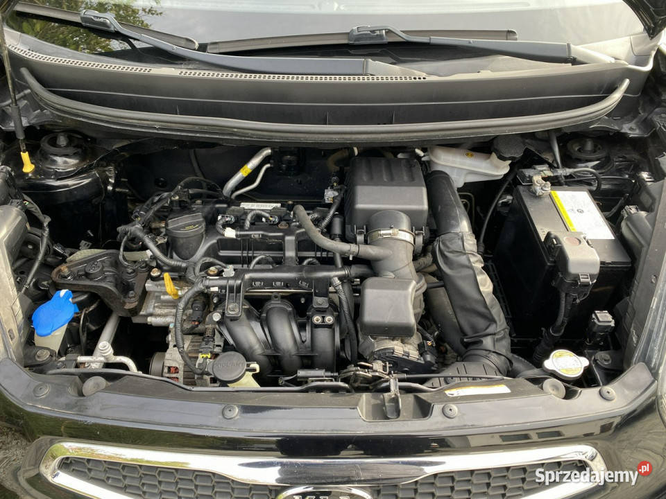Kia Picanto Zadbana oryginalny przebiegSerwis Picanto