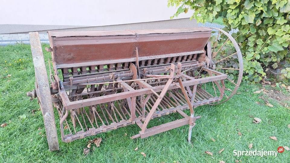 Siewnik konny 19 redlic Gołaczewy