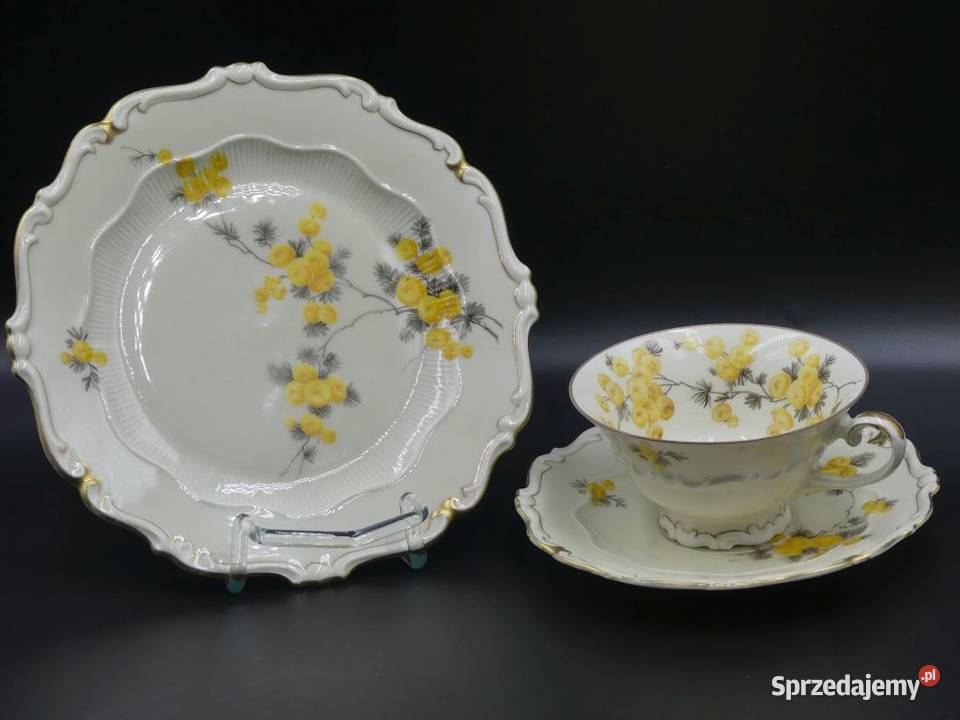 Komplet śniadaniowy Sorau Żary żółte Mimozy Poznań