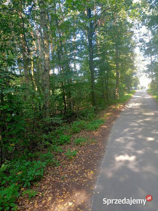 Sprzedam dom murowany plus budynki gospodarcze do zamieszkania sprzedam