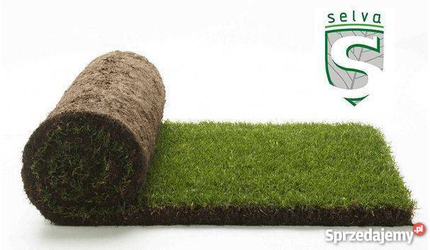 Trawniki z Rolki Wrocław Wrocław sprzedam