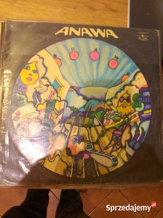 Płyty winylowe orginały płyta winylowa Pyrzyce