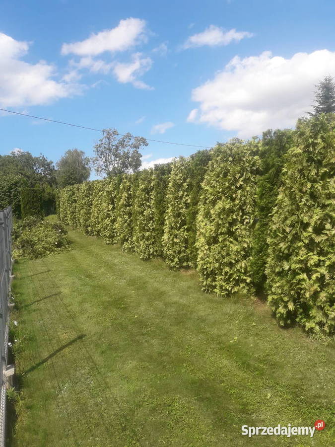 Usługi Ogrodnicze Kraśnik