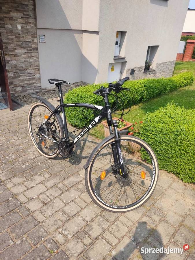 Sprzedam rower MTB przerzutki shimano deore zachodniopomorskie Złocieniec