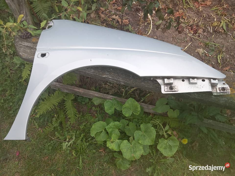 Błotniki prawy lewy do Renault Megane Scenic 19 Sosnowiec