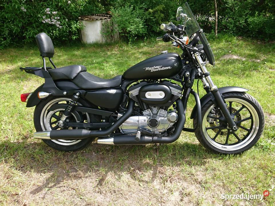 Harley Davidson sportster 883 Superlow Pęcław sprzedam