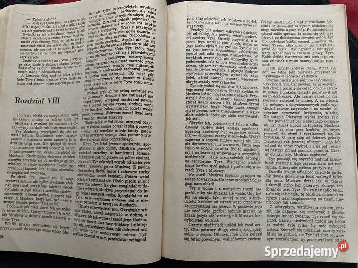 WLADCA SKALNEJ DOLINYJames Oliver Curwood Lublin