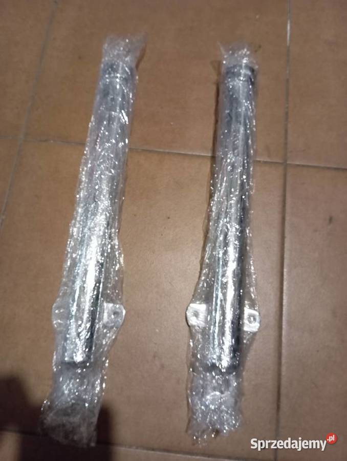 Lagi wsk dudek bąk Tłuszcz