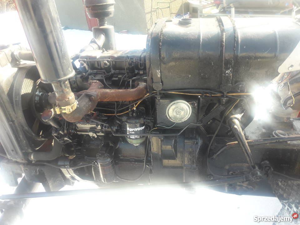 Ursus c3303p Opole Lubelskie