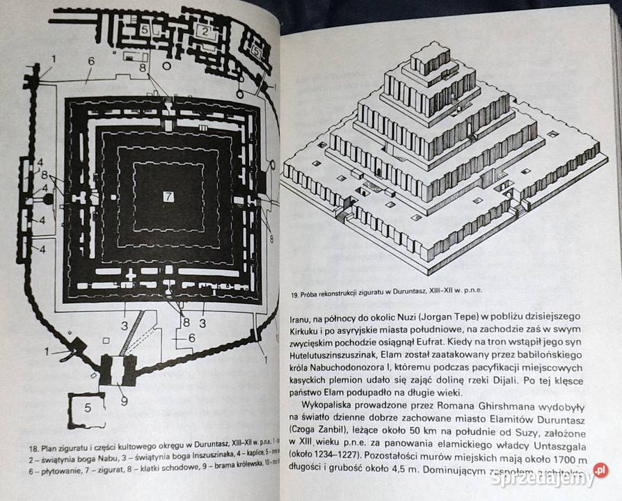 Sztuka Starożytnego Wschodu II Antoni