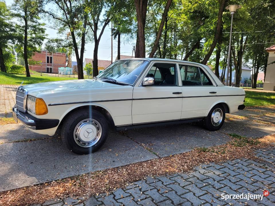 MercedesBenz w123 300 Diesel Opole sprzedam