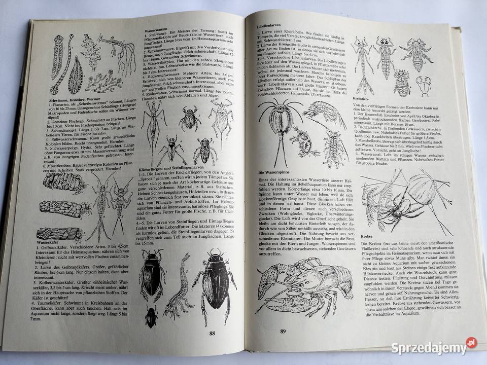 Akwarystyka Aquarienpraxis kurz gefabt Hans Frey biologia, ekologia Gdynia
