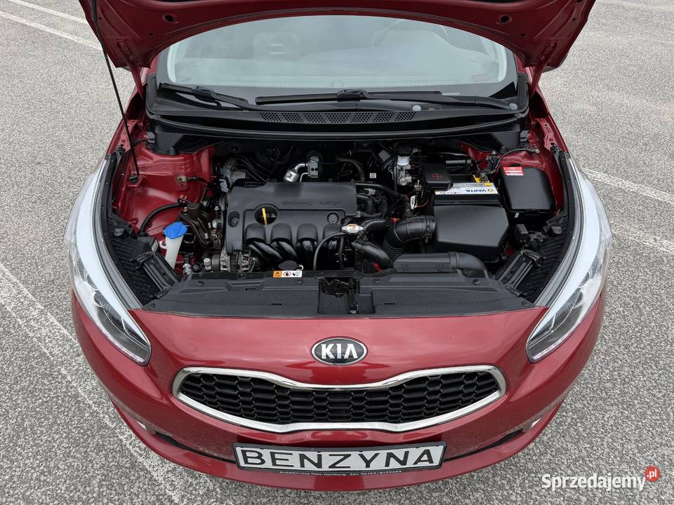 Kia Ceed 14 BENZYNA Klimatyzacja Tempomat Ledy Cee'd