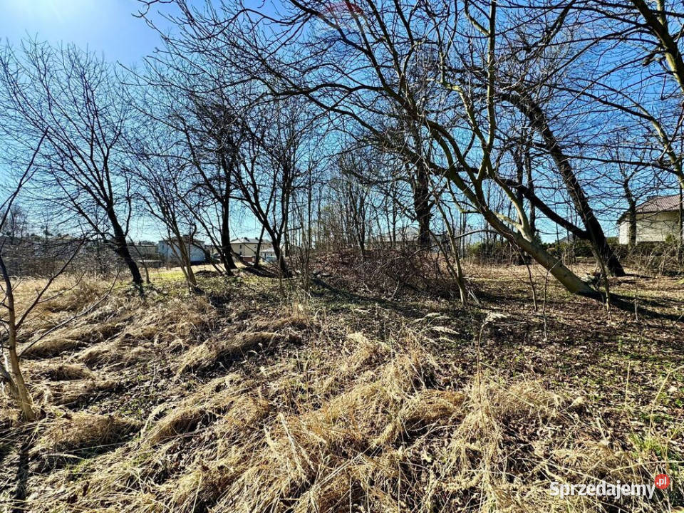 Działka budowlanousługowa Radlin Biertułtowy 38m Sprzedaż sprzedam