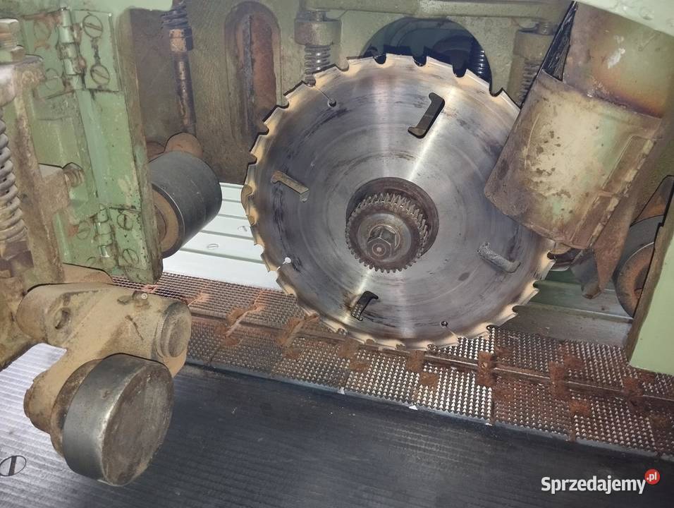 Piła stołowa Raimann K1 Wejherowo