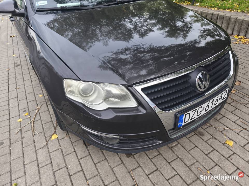 Passat b6