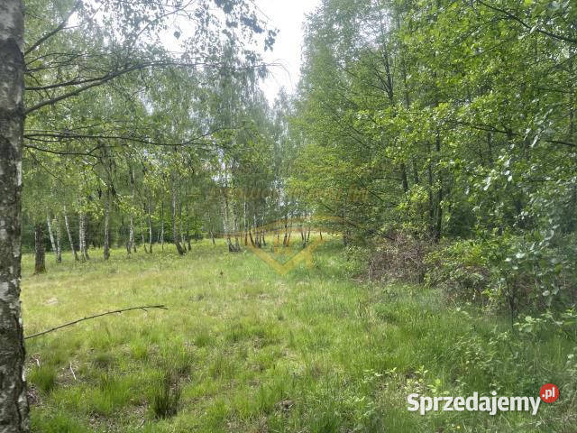Grunt 10895m2 Grodzisk Mazowiecki woda