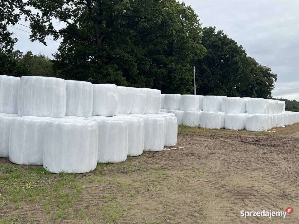 Sianokiszonka z traw polnych 2025 cięta 12 pokos Nowa Wieś Lęborska