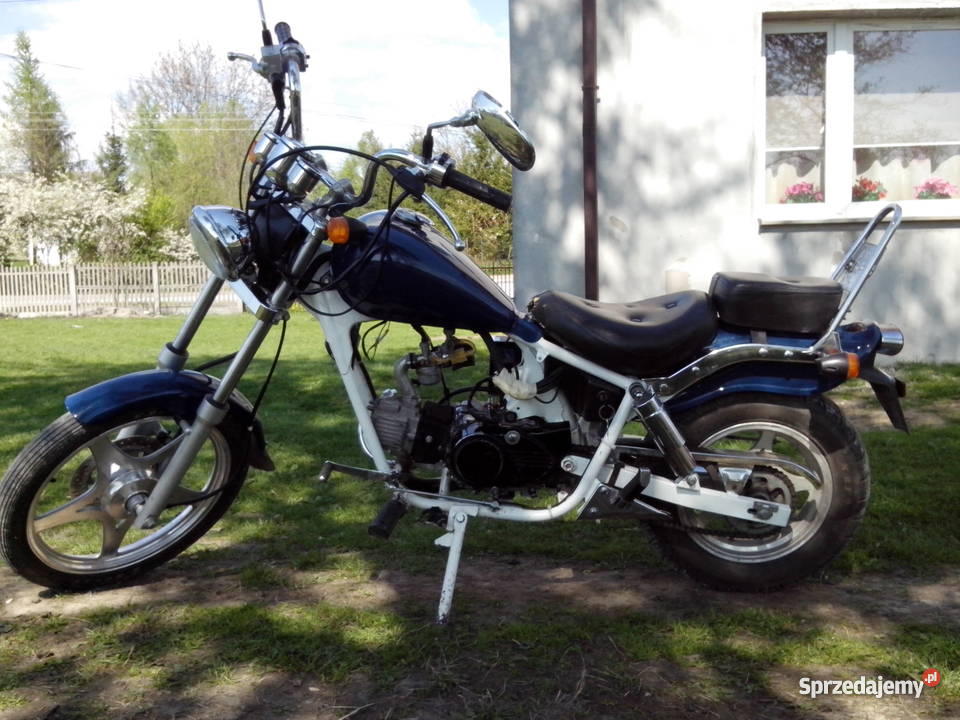 Kingway Łoś Chopper 11050 Tuczępy