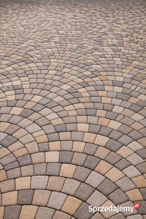 Mycie kostki brukowej elewacji Pruszcz Gdański