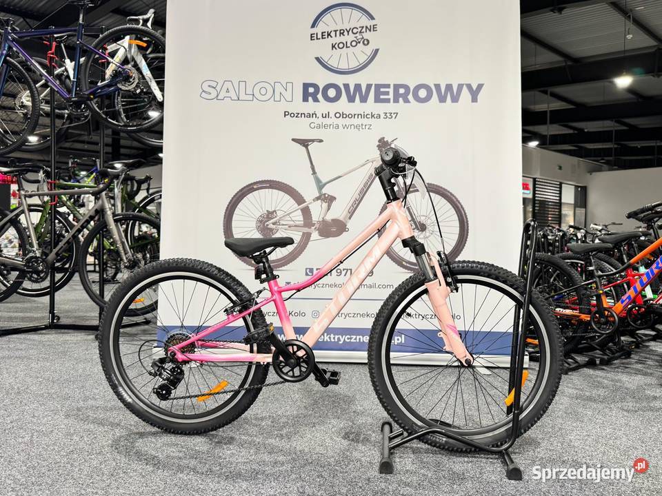 Rower MTB Junior STORM Queen 24 2VBR Rama 11 Poznań