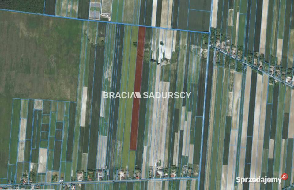 Działka 30500m2 PrandocinIły 30500m2