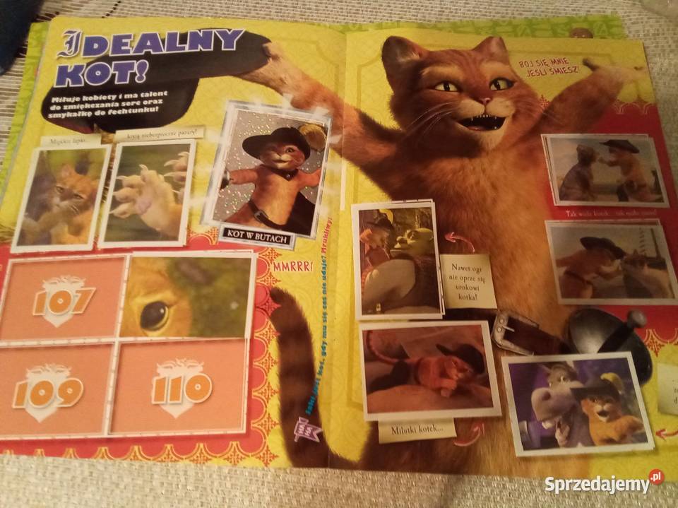 Na teopie shreka album na naklejki Warszawa