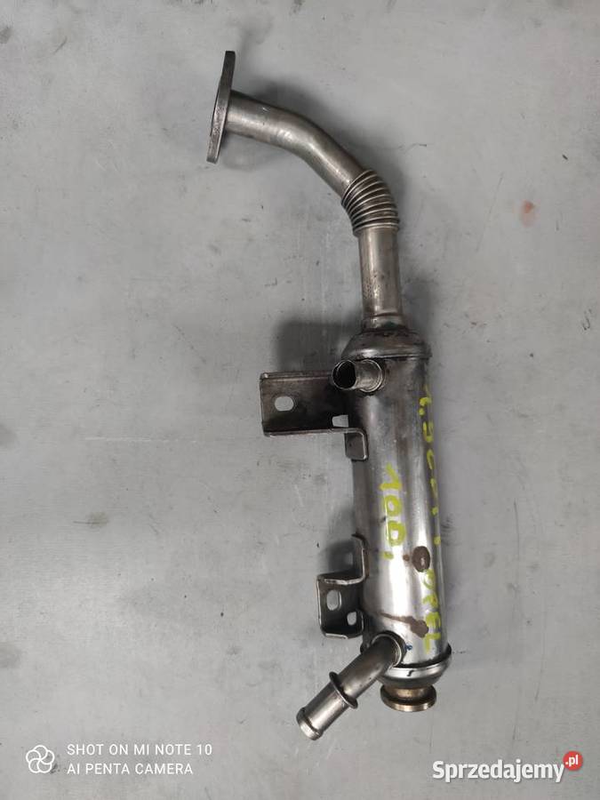 Chłodniczka spalin Opel 19 CDTI 55210701 sprzedam