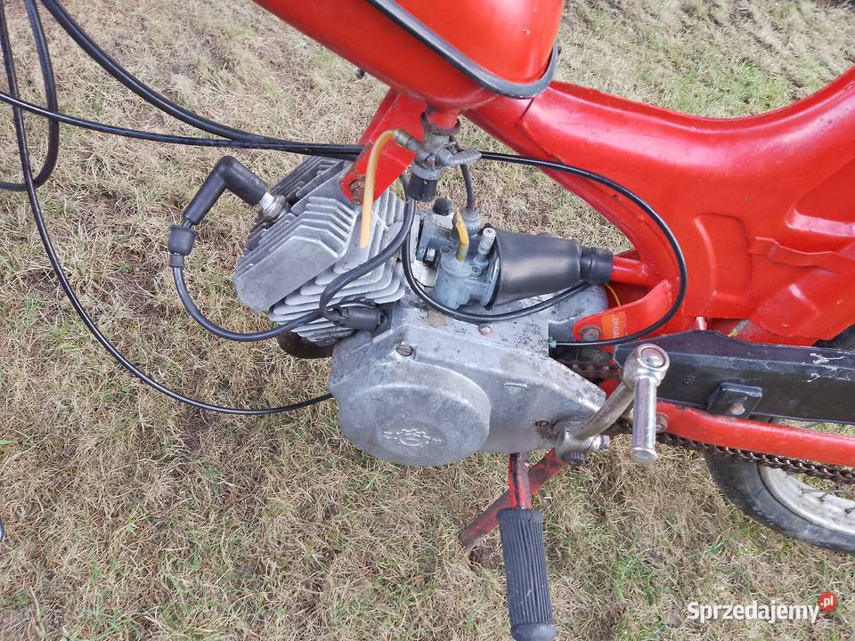 Komar 2352W wersja Export Plewiska