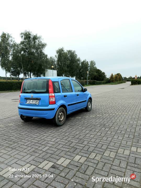 Fiat Panda 2004 11 benzyna Chodzież