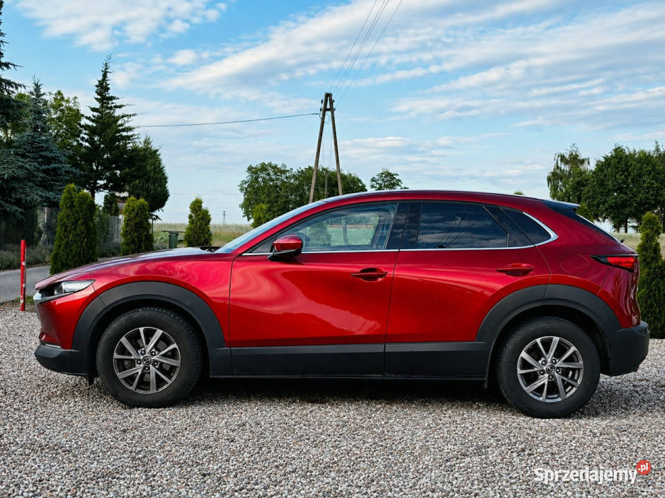 Mazda CX30 nieuszkodzony sprzedam