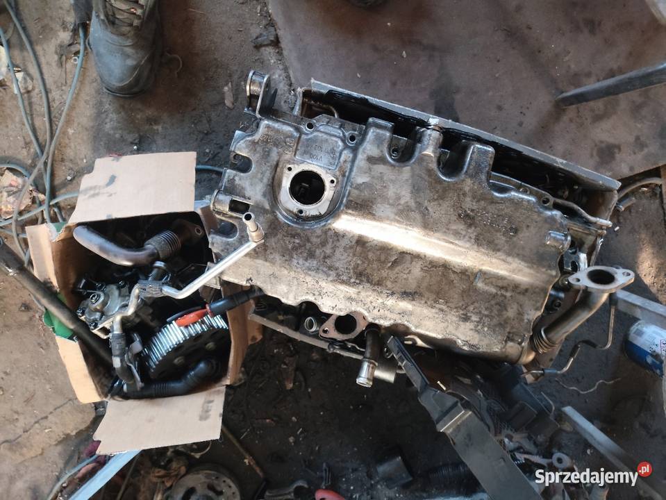 Części do silnika 19 TDI bls osobowe Przytyk