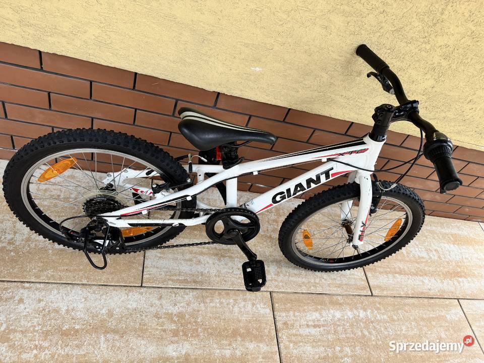Rower 20 Giant dziecka rowerek miejski