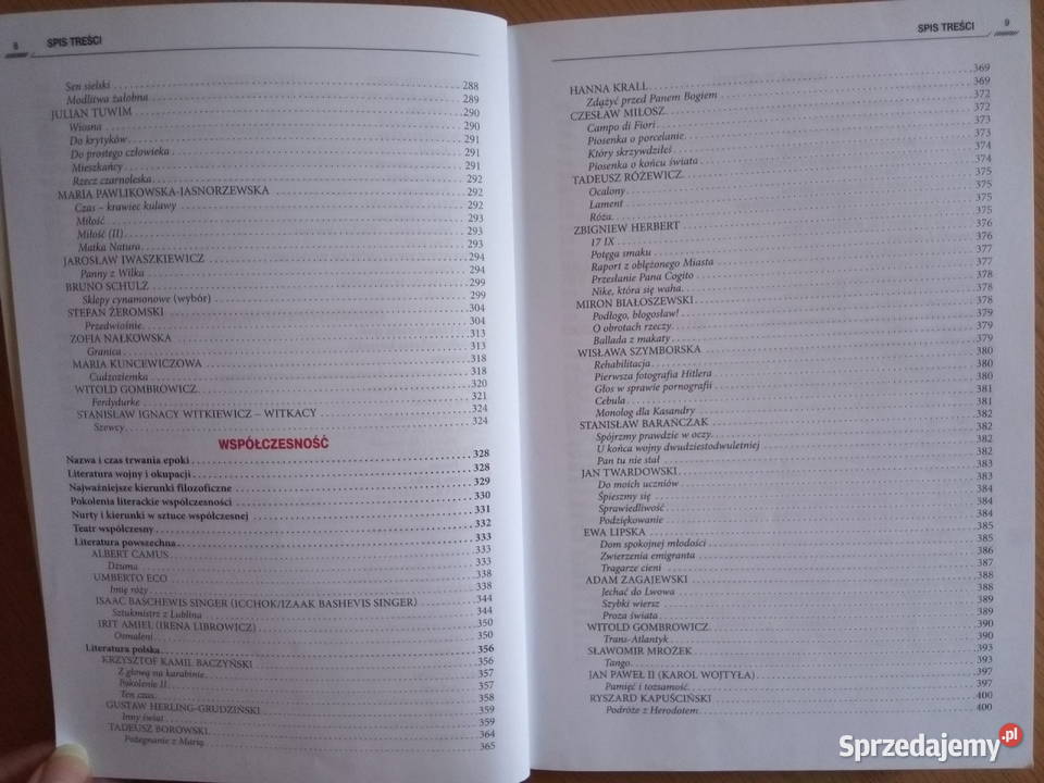 Repetytorium maturzysty język POLSKI GREG Dąbrowa Górnicza sprzedam