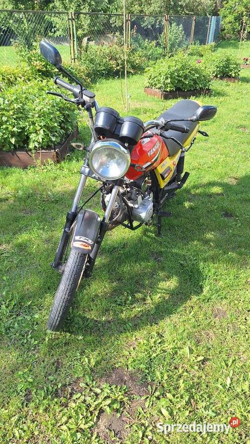 Router Yankee motorower Gniezno