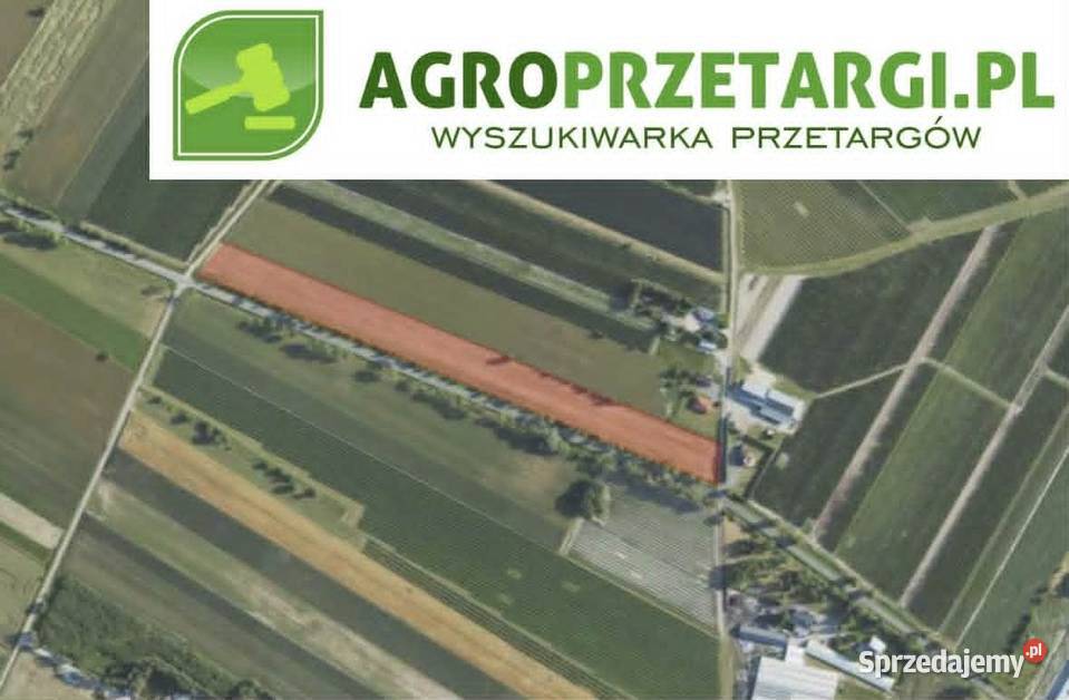 Dzierżawa 426 ha gruntu rolnego Łosice