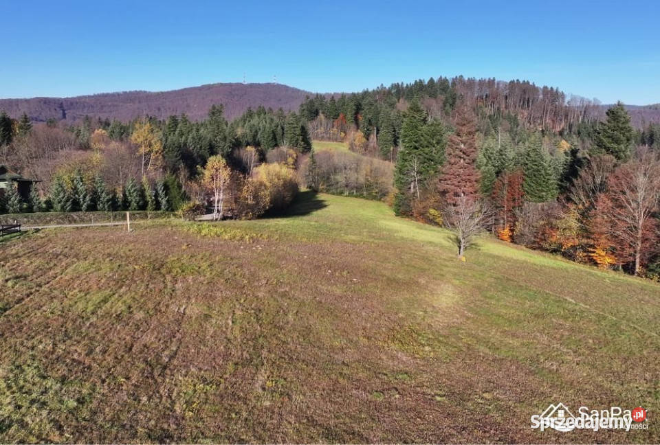 sprzedaży gruntu Werlas 1986m2