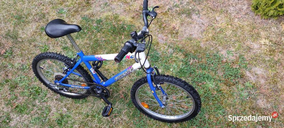 Rower dziecięcy 20 przerzutki zadbany serwis Wilczyn