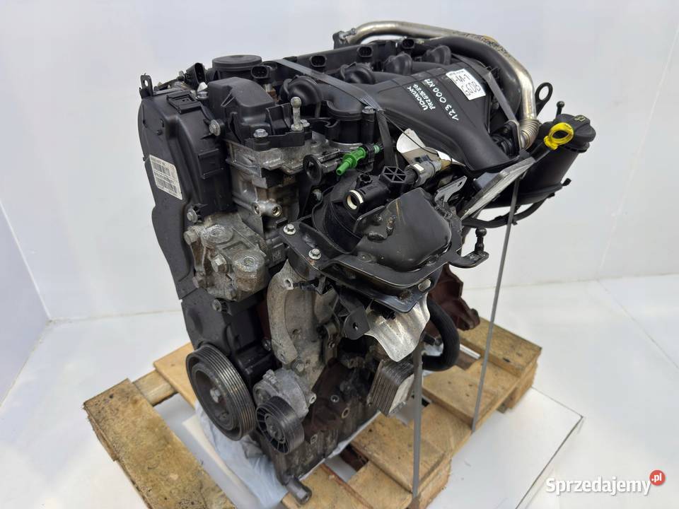 SILNIK G6DB Ford C C 20 TDCI 136 G6DA G6DD G6DG Chełm