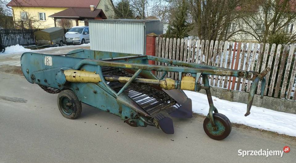 Kopaczka do ziemniaków Elewatorowa 2rzędowa Dąbrowa Tarnowska sprzedam