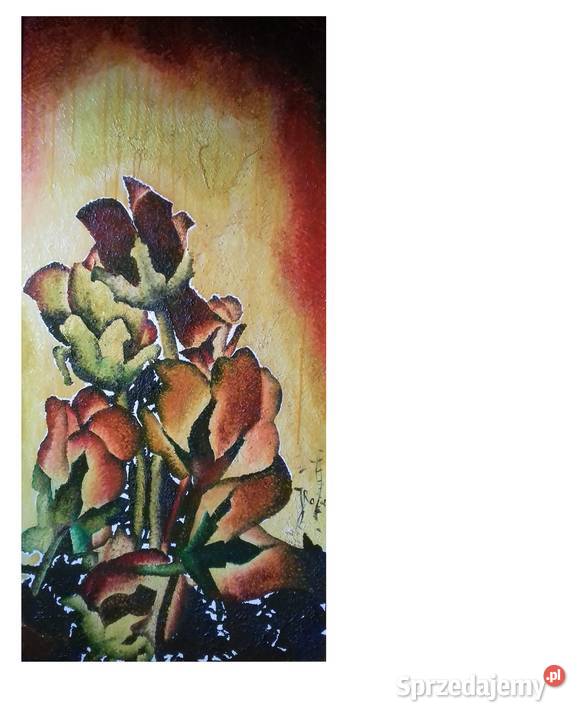 Archidiecezjalne Piwonie Jarosław