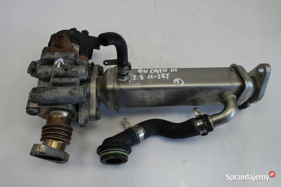 Fiat Ducato III 23 JTD CHŁODNICA SPALIN EGR org osobowe Rudka