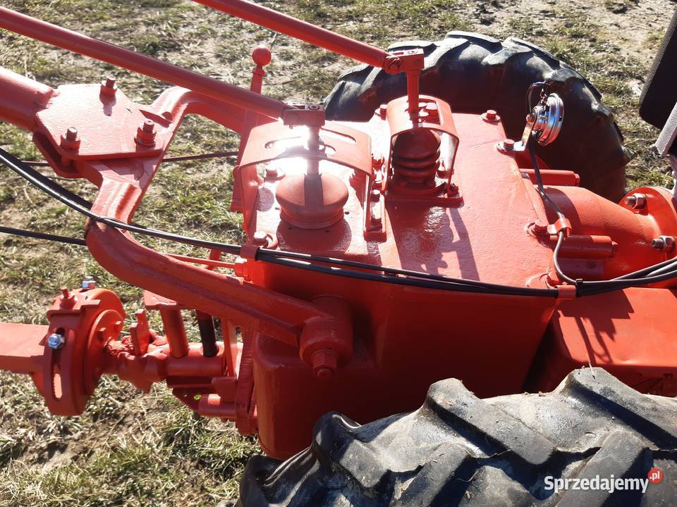 Dzik 21 lisek traktorek lubelskie Zamość